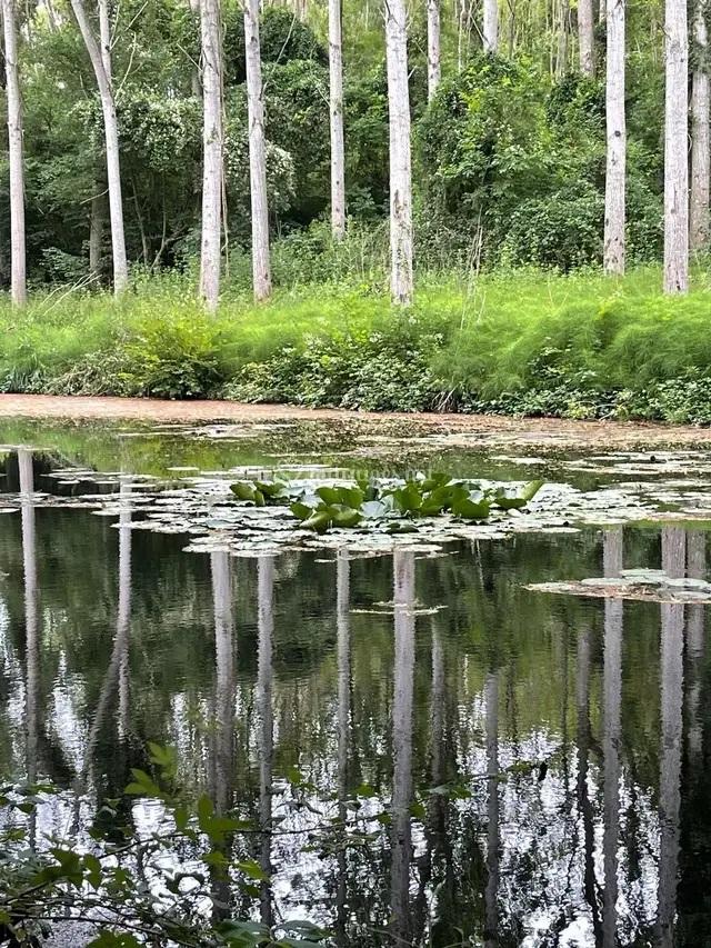 Le grand réservoir de l'abbaye